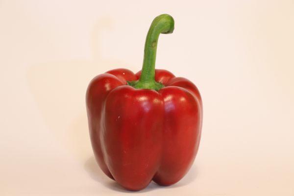 Peperoni rot